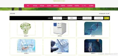 基于Node.js与Vue.js的科研实验室门户网站设计与实现